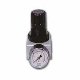 Air Reg & Gauge 1/4" Gav R180