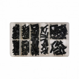 Ass Csk Cap Screws 200Pc