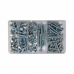 Ass Gut Bolt&Nut Screw 300Pc