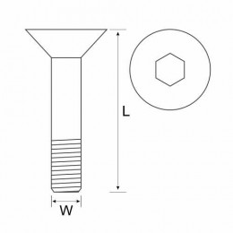 C/Scr Csk 10.9 Blk 6X16 50Pc