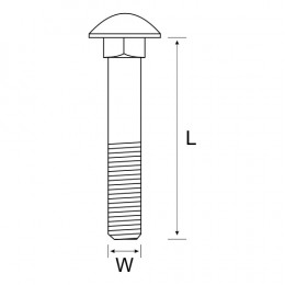 Cup Square & Nut Galv 10 X 25