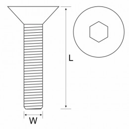 Cap Scr Csk Ss 304 6X50 50P