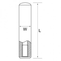 Ext Dowel Pin Solid 10 X 24