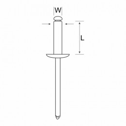 Full S/S Rivet 4.8 X 21