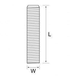 Grub Screw 304 Ss 10 X 40