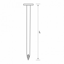 Wire Nail 75Mm 3 2Kg P/P