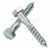 Coach Screw Ss A2 10X75 2Pc