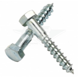 Coach Screw Ss A2 10X75 2Pc