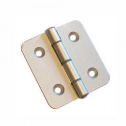 Canopy Door Hinge S/St 65X50 (2337)