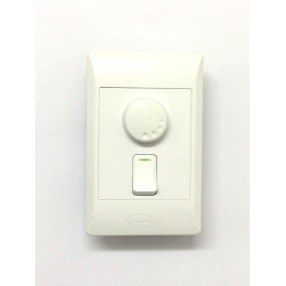 Aktronix Dimmer C/W Switch