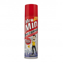 Mr Min 300Ml Multisurface Plsh