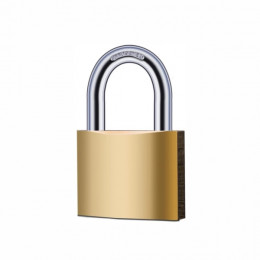 Padlock Tri-Brass No261 20Mm