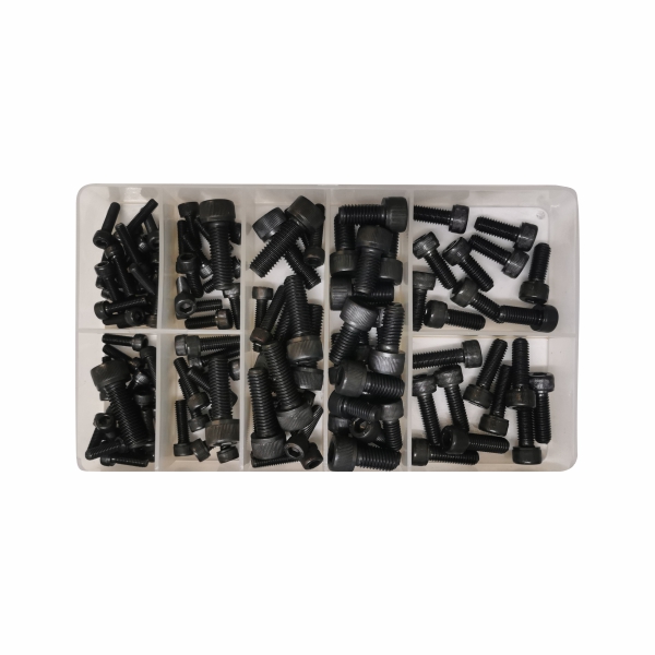 ASS CAP SCREWS 120PC