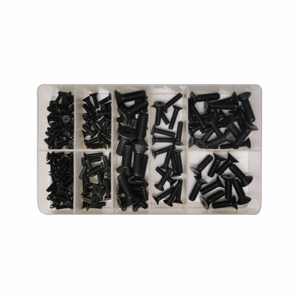 ASS CSK CAP SCREWS 200PC