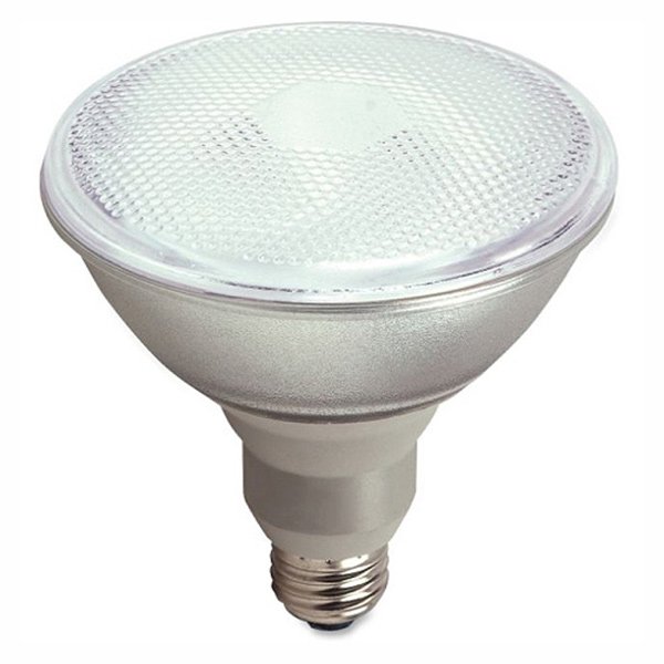 E/SAVING GLOBE LED PAR38 12/14W