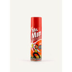 MR MIN 300ML MULTISURFACE PLSH MR MIN 300ML MULTISURFACE PLSH