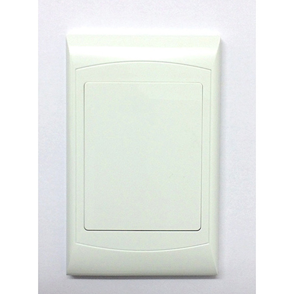 SWITCH COVER BLANK 4X2 SWITCH COVER BLANK 4X2