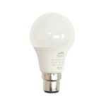 GLOBE LED BULB 6W B22 RADIANT