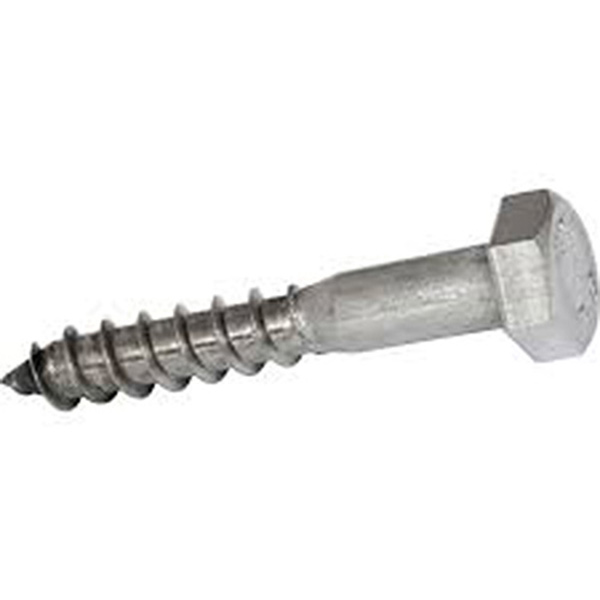 Coach screw s/st a2 10 x 100 Coach screw s/st a2 10 x 100