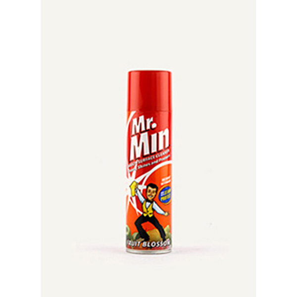 MR MIN 300ML MULTISURFACE PLSH MR MIN 300ML MULTISURFACE PLSH